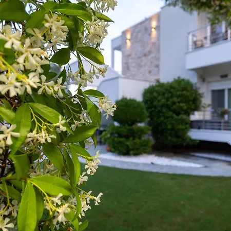 Likno لايميناس